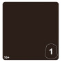 Tone Pro: Carthalos Skin 1 | TPK Hobby & Games