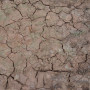 Efecto craquelado húmedo 100ML
