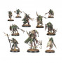 Warcry: Credo Putrefango