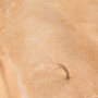 Terrenos Desierto de arena 250ML