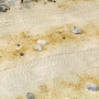 Terrenos Arena del desierto 250ML