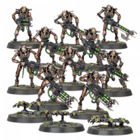 NECRONS: GUERREROS