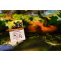Everdell: Bellfair