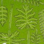 SET DE PLANTAS SELVÁTICAS (JUNGLA) 1/32 y 1/35