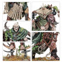 MAGGOTKIN NURGLE BATTLEFORCE: QUISTE DE PESTEDRAMA