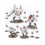 T'AU EMPIRE BATTLEFORCE: CUERPO DE REPRESALIA