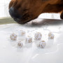 Set Dados Dogs Charlie - Q Workshop