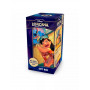 Gift Set Lilo Archazia's Island - Disney Lorcana