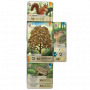 Forest Shuffle - Juego de mesa