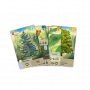 Forest Shuffle - Juego de mesa