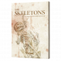 Juego de rol - The Skeletons