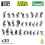 Set impreso en 3D - Algas marinas