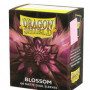 Fundas Standard Blossom Dual (100 Fundas)