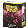 Fundas Standard Blossom Dual (100 Fundas)