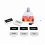 Exploding Pidgeon