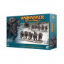 WARRIORS OF CHAOS: CHAOS MARAUDER HORSEMEN