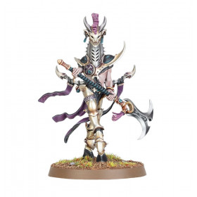 Señor de la Histeria Hedonites of Slaanesh AoS | TPK Hobby & Games