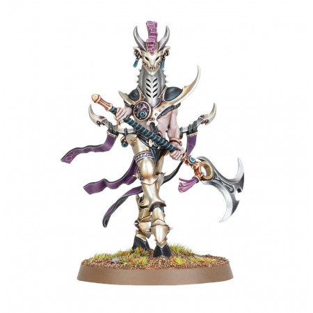 Señor de la Histeria Hedonites of Slaanesh AoS | TPK Hobby & Games