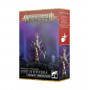 Señor de la Histeria Hedonites of Slaanesh AoS | TPK Hobby & Games